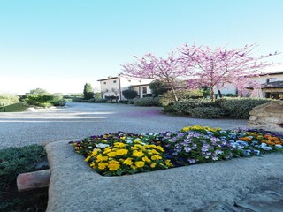 Apartment Gambassi Terme Outdoor Recording 3