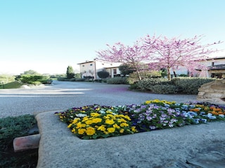 Appartement Gambassi Terme Buitenaudio-opname 6