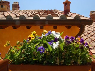 Apartment Gambassi Terme  40