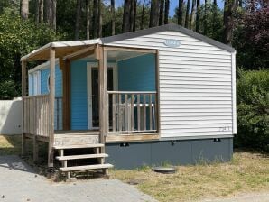 Holiday park Verzorgd chalet met magnetron, Antwerpen op 39 km.