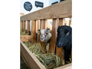 Agriturismo biologico Gsies Registrazione all'aperto 7