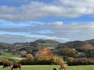 Umgebung Diemelsee