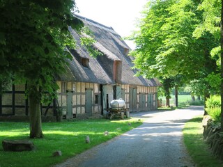 Maison de vacances Rabenholz Environnement 29