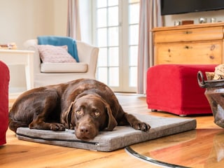 Casa de vacaciones Rabenholz  33