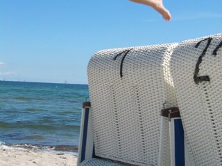 Strandlaune