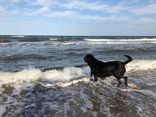 Hundestrand Pottloch