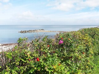 Casa per le vacanze Hundested Registrazione all'aperto 2