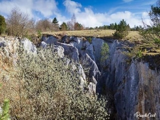 Parc de vacances Viroinval Environnement 17