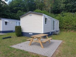 Holiday park Fine chalet with microwave located in the Ardennes - Viroinval - image1