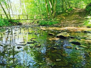 Parc de vacances Viroinval Environnement 15