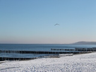 Apartment Kühlungsborn Environment 14