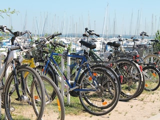 Ferienhaus Kühlungsborn Umgebung 14