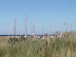 Ferienhaus Kühlungsborn Umgebung 13