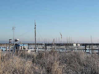 Ferienhaus Kühlungsborn Umgebung 15
