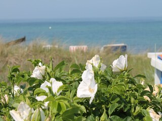 Vakantiehuis Kühlungsborn Omgeving 21