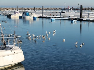 Ferienhaus Kühlungsborn Umgebung 30