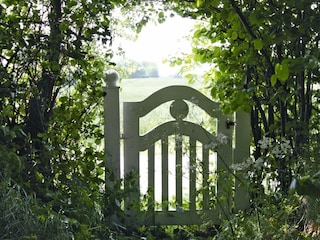 Holiday house Damp  28