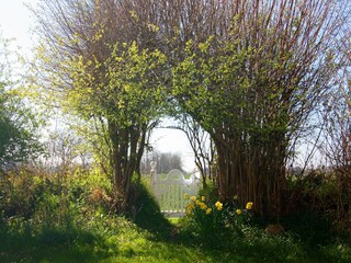 Casa per le vacanze Damp Registrazione all'aperto 7