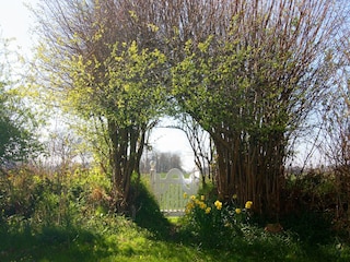Ferienhaus Damp Außenaufnahme 12