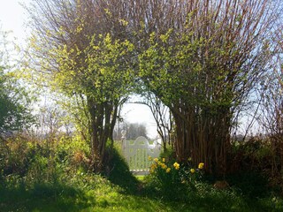 Holiday house Damp Outdoor Recording 8