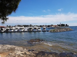 Maison de vacances Novigrad (Istrien) Environnement 32