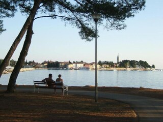 Ferienhaus Novigrad (Istrien) Umgebung 33