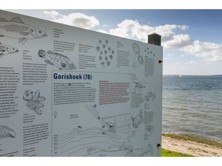 Appartement Sint-Maartensdijk Environnement 34