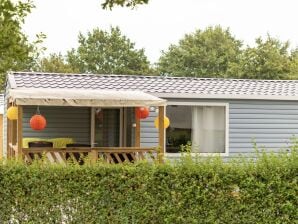 Chalet confortable avec micro-ondes, sur un parc de vacances à 1 km. de la plage - Dishoek - image1