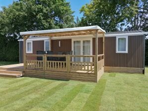 Chalet confortable avec micro-ondes, sur un parc de vacances à 1 km. de la plage - Dishoek - image1