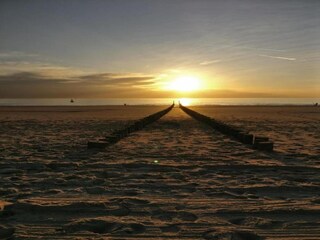 Vakantiepark Dishoek Omgeving 10