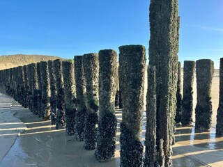 Parque de vacaciones Dishoek Entorno 26