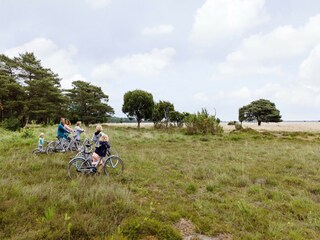 Vakantiepark Dwingeloo Omgeving 34