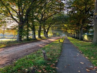 Parco vacanze Dwingeloo Ambiente 19