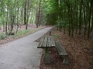 Vakantiepark Dwingeloo Omgeving 21