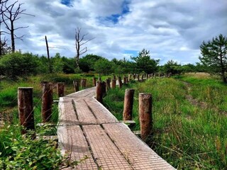 Parc de vacances Dwingeloo Environnement 22