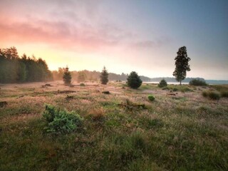 Vakantiepark Dwingeloo Omgeving 26