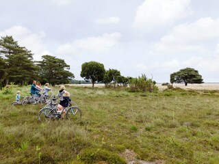 Vakantiepark Dwingeloo Omgeving 11
