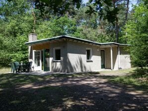 Parc de vacances Bungalow withwood poêle, près d'Assen - Dwingeloo - image1