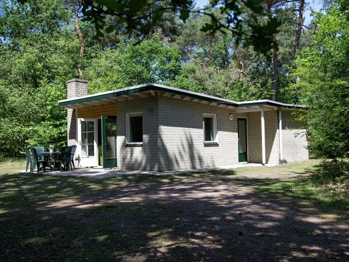 Ferienpark Dwingeloo Außenaufnahme 1