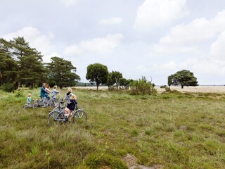 Parc de vacances Dwingeloo Environnement 35