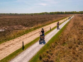 Vakantiepark Dwingeloo Omgeving 9