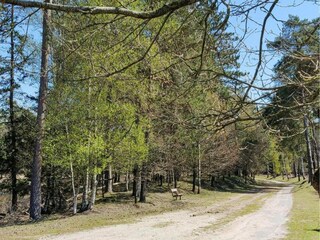 Parc de vacances Dwingeloo Environnement 29