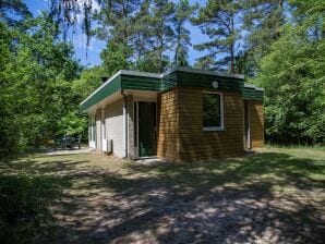 Holiday park Bungalow mit Kamin, nicht weit davon entfernt - Dwingeloo - image1