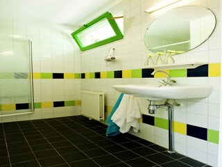 Parco vacanze Dwingeloo Caratteristiche 4