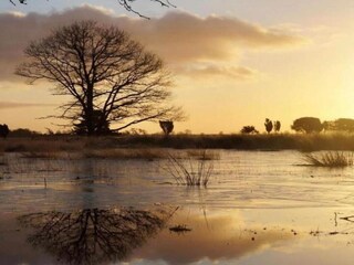 Parc de vacances Dwingeloo Environnement 24