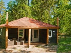 Holiday park Bungalow with terrace, not far from Assen - Dwingeloo - image1