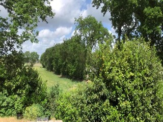 Parc de vacances Dwingeloo Environnement 29