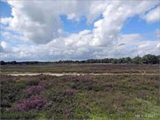 Vakantiepark Dwingeloo Omgeving 30