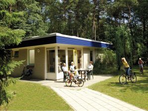Holiday park Bungalow nicht weit von der Baugruppe entfernt - Dwingeloo - image1