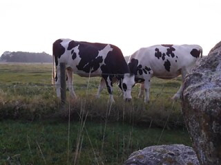 Vakantiepark Dwingeloo Omgeving 12